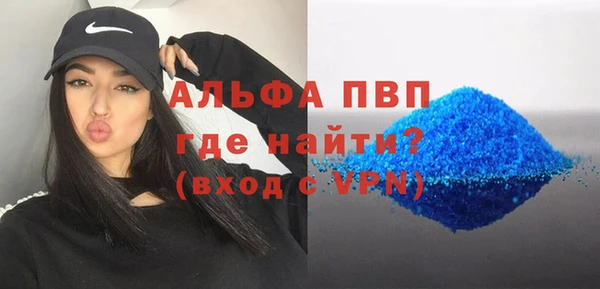 СК Аркадак
