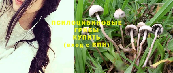 mix Армянск